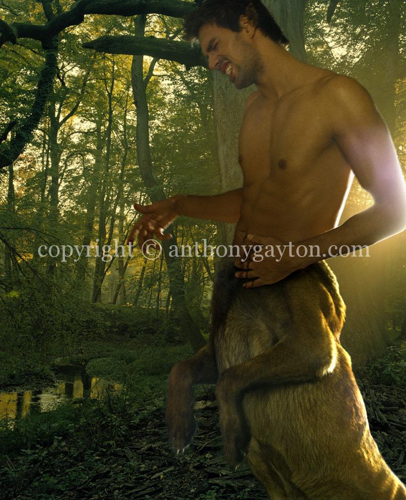 14_Fire_Woods_02_Copyright_Anthony_Gayton