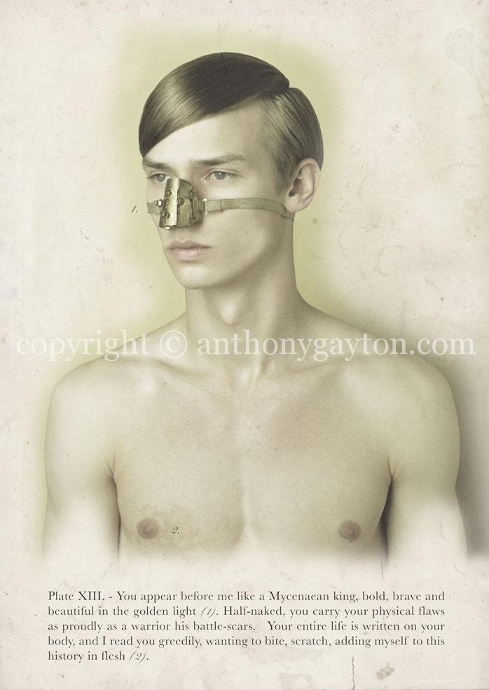 4_Anatomy_Copyright_Anthony_Gayton