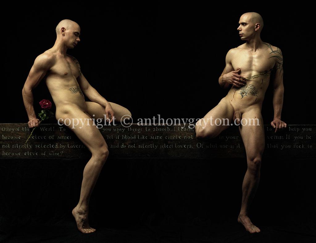 Whitman_03_Copyright_Anthony_Gayton